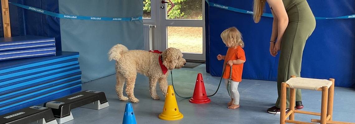 Im Vordergrund des Bildes ist eine Slalom Strecke aus bunten Absperrhütchen. Im Hintergrund steht die Fachkraft und ein Kind das die Hündin Lotti an der Leine führt.