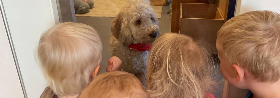 Im Vordergrund sind vier Kinder von hinten zu sehen. Sie blicken durch die Glasscheibe einer Tür in den Flurbereich der Gruppe. Auf der anderen Seite der Tür steht die Hündin Lotti und blickt die Kinder an. Im Hintergrund sitzt die Fachkraft auf dem Boden.