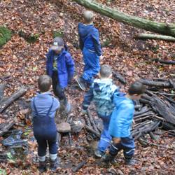 Die Hortkinder bauen im Wald ein Brücke über einen schmalen Bach.
