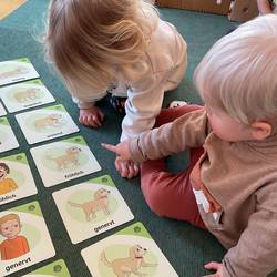 zwei Kinder betrachten auf dem Boden liegende Bildkarten. Diese sind parallel zueinander ausgelegt. Es sind Gefühle dargestellt. Auf der einen Seite sind Gesichtsausdrücke beim Menschen und auf der anderen Seite Körpersprache bei Hunden dargestellt.