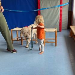 Die Hündin Lotti wird von einem Kind über einen Holzstab zwischen zwei Hockern geführt. Das Kind steht auf Zehenspitzen und unterstützt die Bewegung des Hundes.