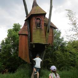 Die Kinder erklettern ein Baumhaus