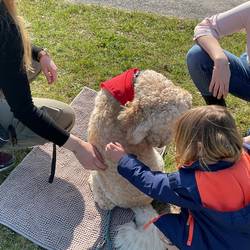 Zwei Fachkräfte knien links und rechts im Bild. in der Mite sitzt die Hündin Lotti. Sie trägt ein rotes Halstuch. Ein Kind streichelt über den Rücken von Lotti. Der Hund hat den Kopf zum Kind gerichtet.