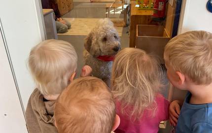Im Vordergrund sind vier Kinder von hinten zu sehen. Sie blicken durch die Glasscheibe einer Tür in den Flurbereich der Gruppe. Auf der anderen Seite der Tür steht die Hündin Lotti und blickt die Kinder an. Im Hintergrund sitzt die Fachkraft auf dem Boden.